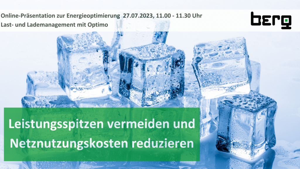 Eiswürffel, darauf der Texthinweis Leistungspitzen vermeiden und Netznutzungskosten reduzieren - Online-Präsentation Berg GmbH